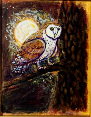 Little Owl in the Moonlight