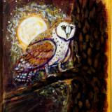 Little Owl in the Moonlight